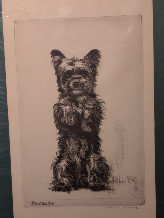 Diana Thorne Other - Authentic Rare Vintage Diana Thorne Dog Art